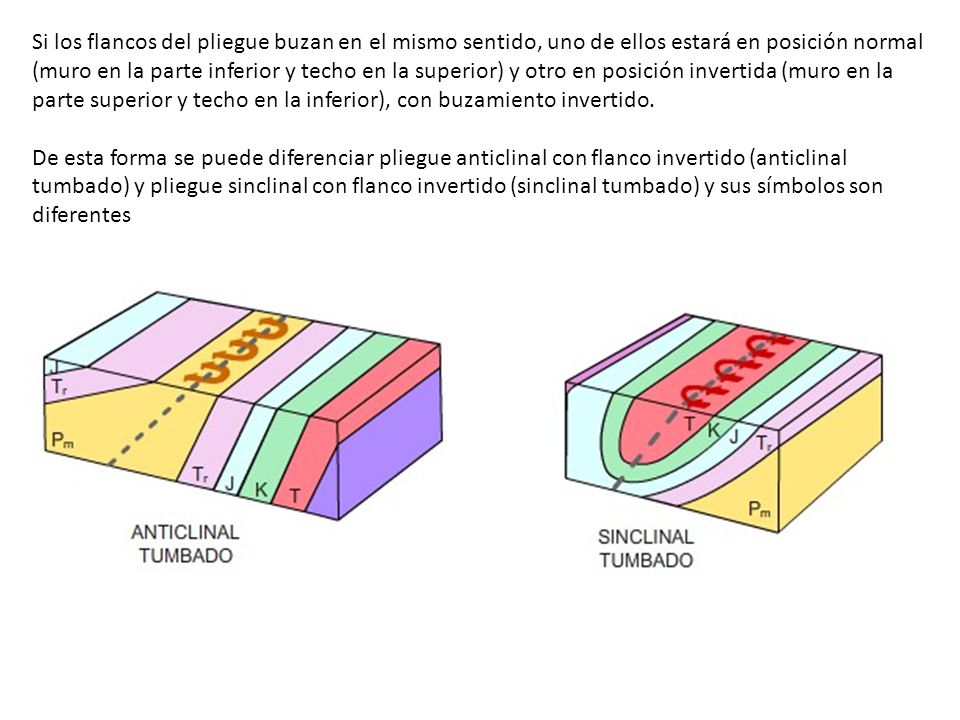 Si los flancos del pliegue buzan en el mismo sentido, uno de ellos estará en posición normal (muro en la parte inferior y techo en la superior) y otro en posición invertida (muro en la parte superior y techo en la inferior), con buzamiento invertido.