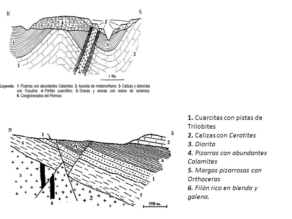 1. Cuarcitas con pistas de Trilobites 2. Calizas con Ceratites 3