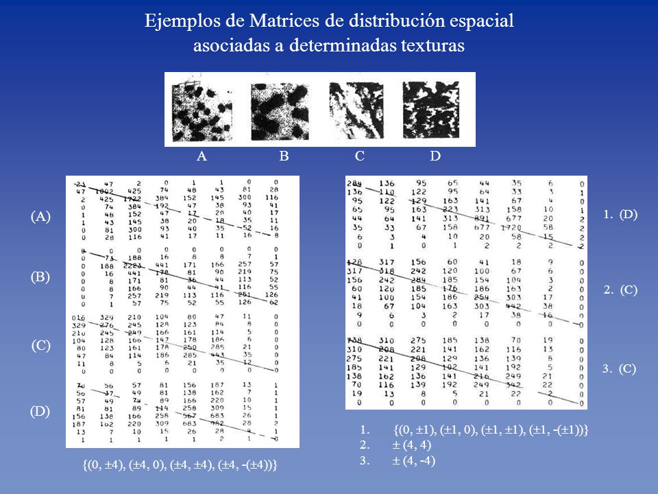 Ejemplos de Matrices de distribución espacial asociadas a determinadas texturas