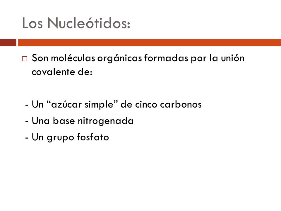 Los Nucleótidos: Son moléculas orgánicas formadas por la unión covalente de: - Un azúcar simple de cinco carbonos.