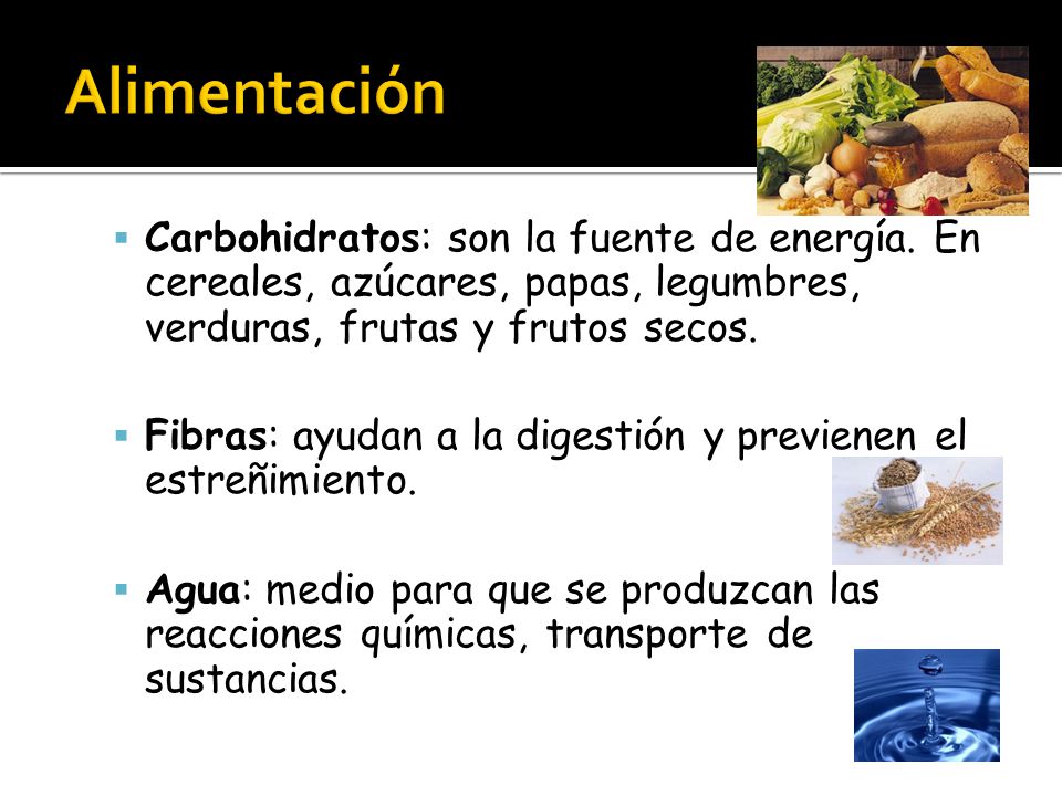 Alimentación Carbohidratos: son la fuente de energía. En cereales, azúcares, papas, legumbres, verduras, frutas y frutos secos.