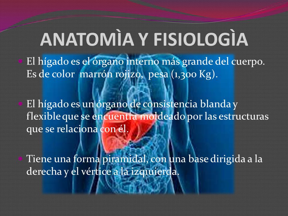 ANATOMÌA Y FISIOLOGÌA El hígado es el órgano interno más grande del cuerpo. Es de color marrón rojizo, pesa (1,300 Kg).
