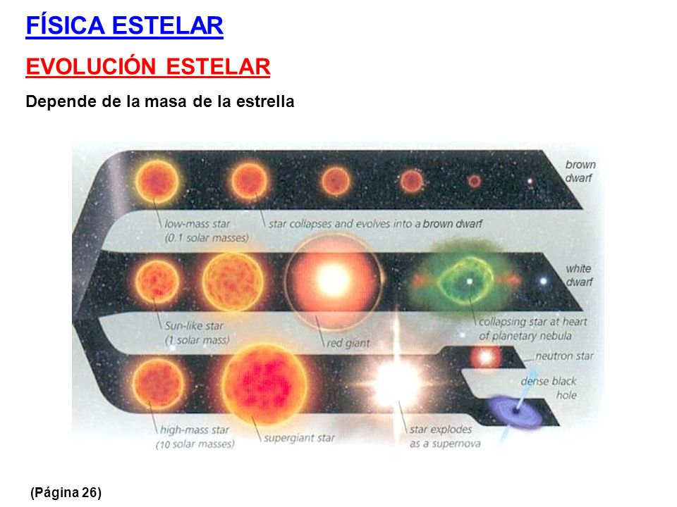 FÍSICA ESTELAR EVOLUCIÓN ESTELAR Depende de la masa de la estrella