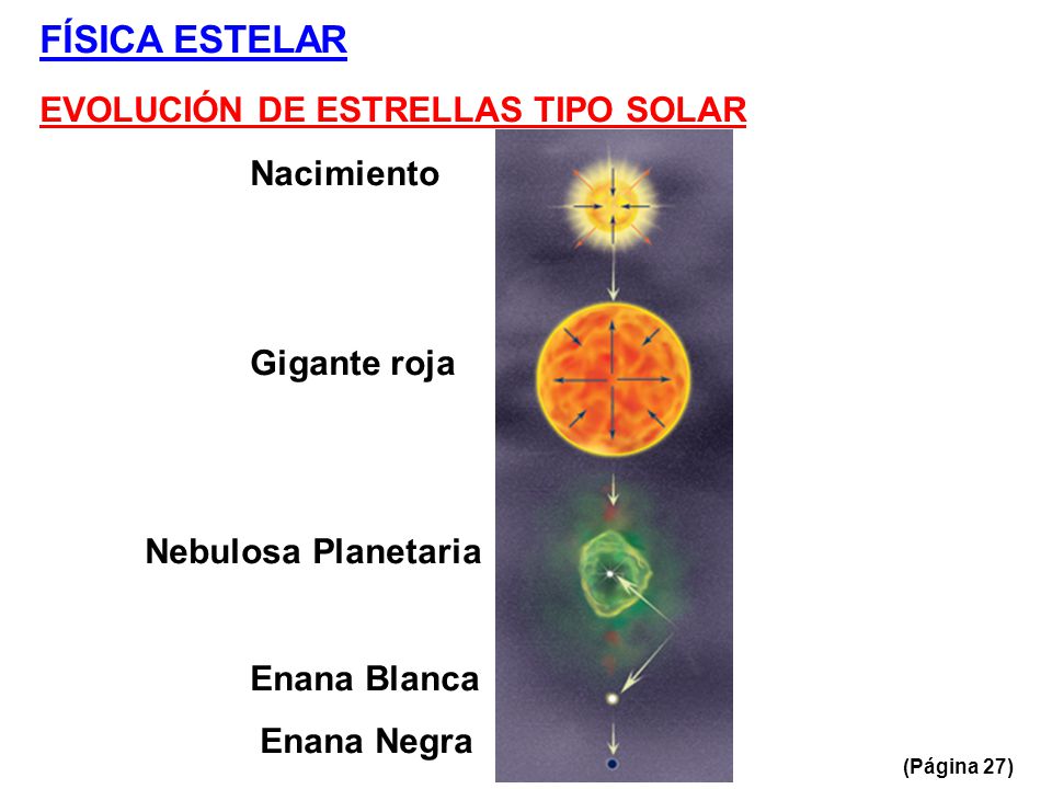 FÍSICA ESTELAR EVOLUCIÓN DE ESTRELLAS TIPO SOLAR Nacimiento