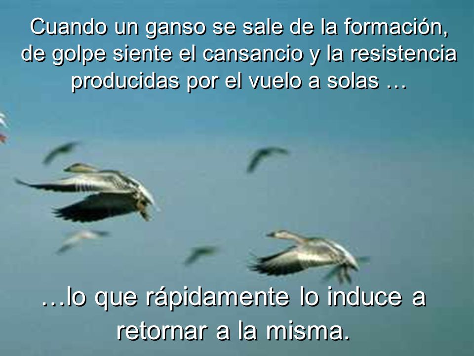 …lo que rápidamente lo induce a retornar a la misma.