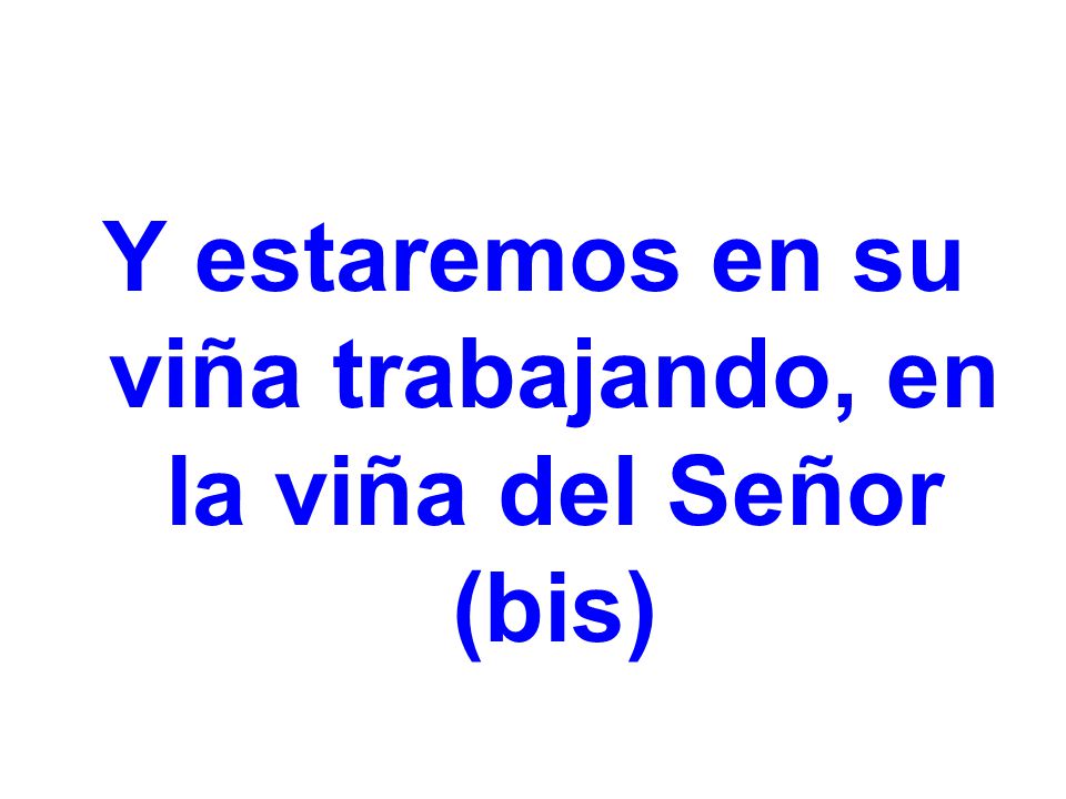 Y estaremos en su viña trabajando, en la viña del Señor (bis)