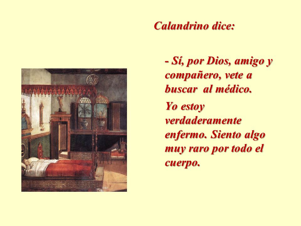 Calandrino dice: - Sí, por Dios, amigo y compañero, vete a buscar al médico.