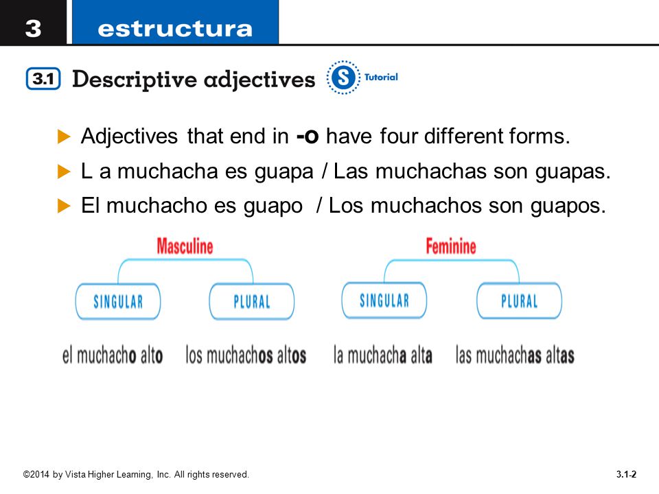 Adjectives that end in -o have four different forms.
