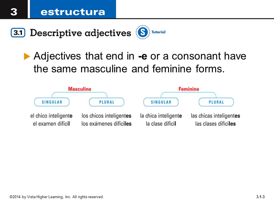 Adjectives that end in -e or a consonant have the same masculine and feminine forms.