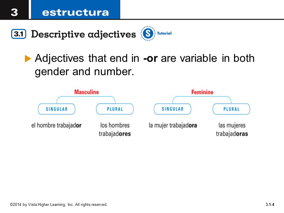 Adjectives that end in -or are variable in both gender and number.