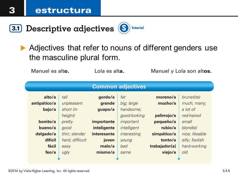 Adjectives that refer to nouns of different genders use the masculine plural form.