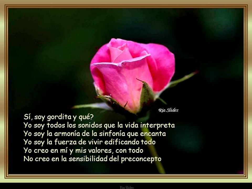 Sí, soy gordita y qué Yo soy todos los sonidos que la vida interpreta Yo soy la armonía de la sinfonía que encanta Yo soy la fuerza de vivir edificando todo Yo creo en mí y mis valores, con todo No creo en la sensibilidad del preconcepto