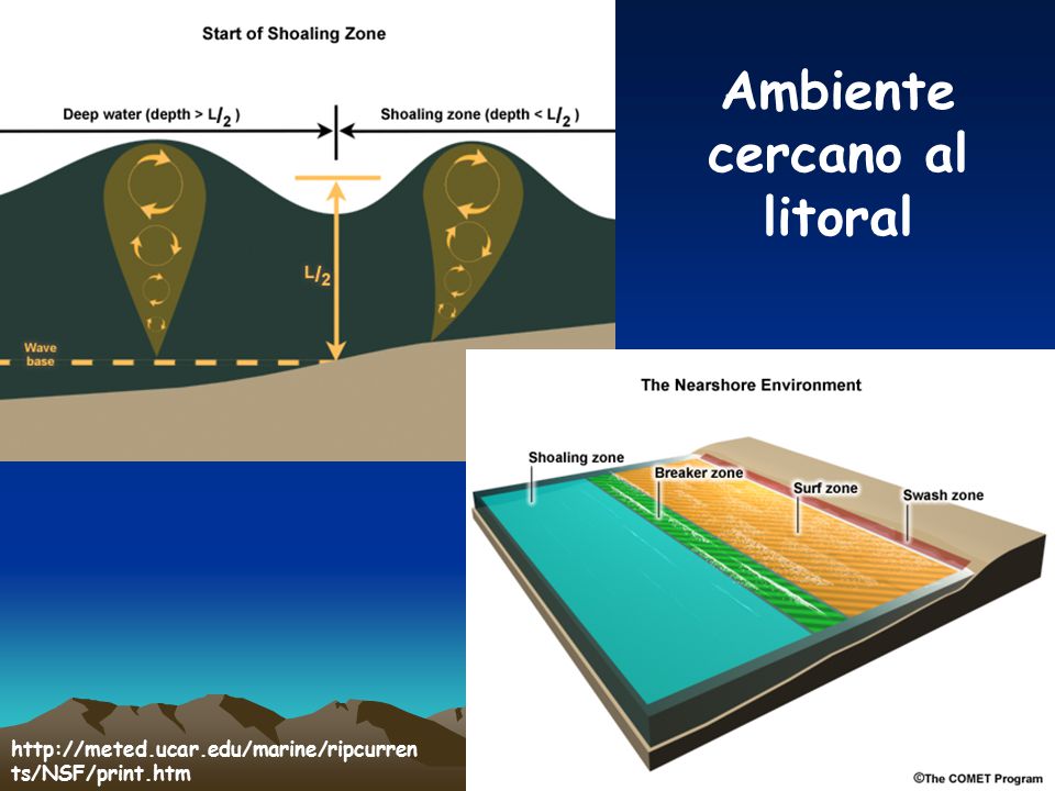 Ambiente cercano al litoral
