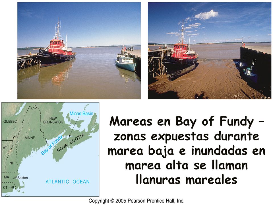 Mareas en Bay of Fundy – zonas expuestas durante marea baja e inundadas en marea alta se llaman llanuras mareales