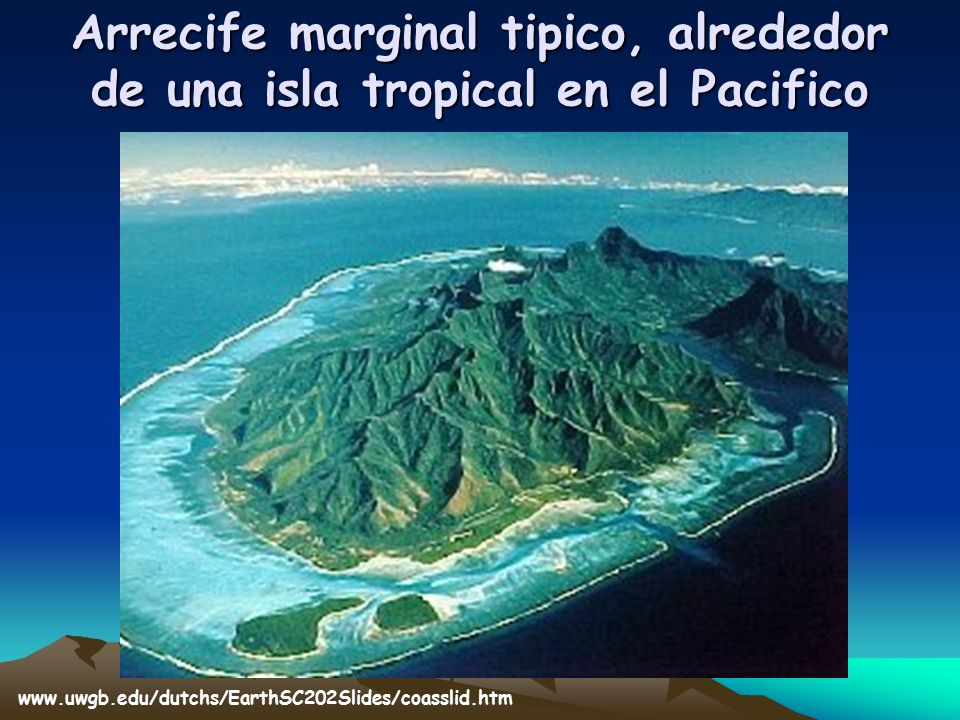 Arrecife marginal tipico, alrededor de una isla tropical en el Pacifico
