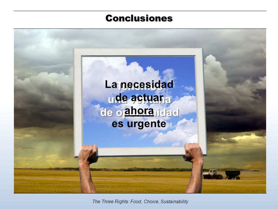 Reservas de granos bajos La necesidad de actuar ahora es urgente