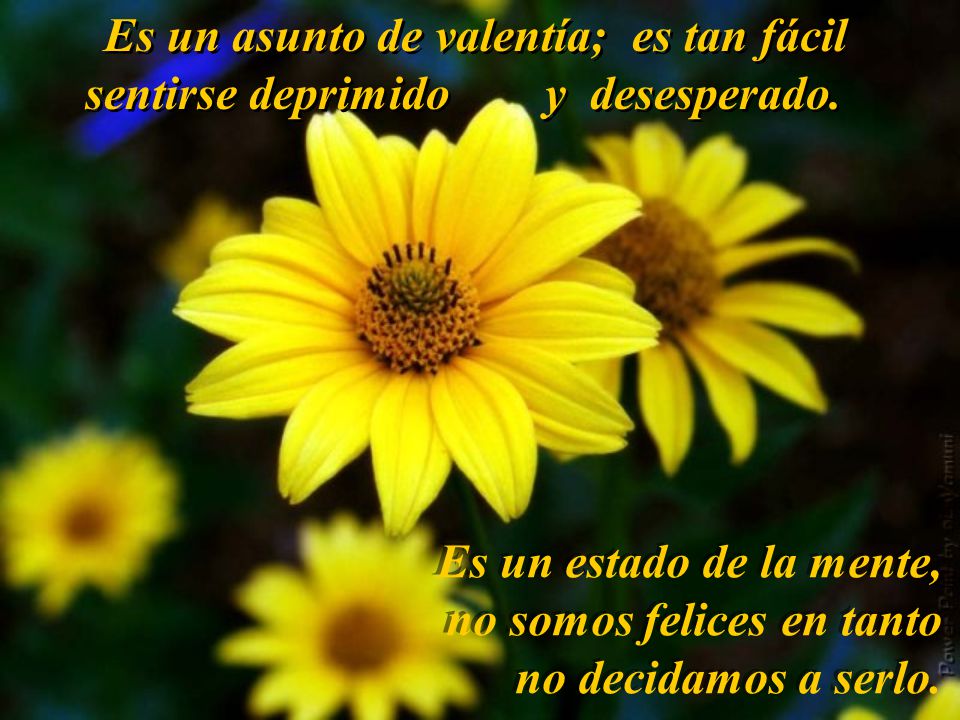 Es un asunto de valentía; es tan fácil sentirse deprimido y desesperado.