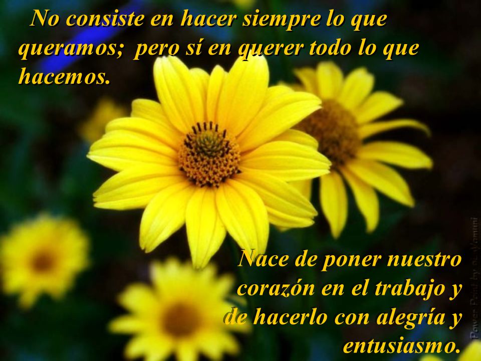 No consiste en hacer siempre lo que queramos; pero sí en querer todo lo que hacemos.
