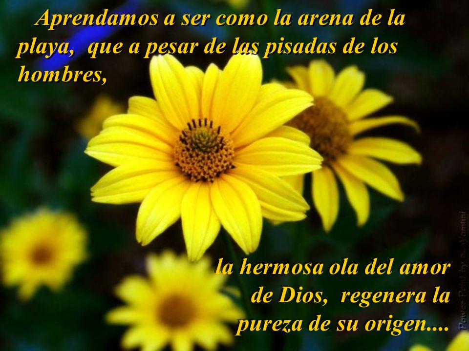 Aprendamos a ser como la arena de la playa, que a pesar de las pisadas de los hombres,