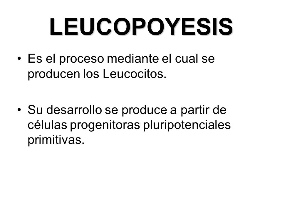 LEUCOPOYESIS Es el proceso mediante el cual se producen los Leucocitos.