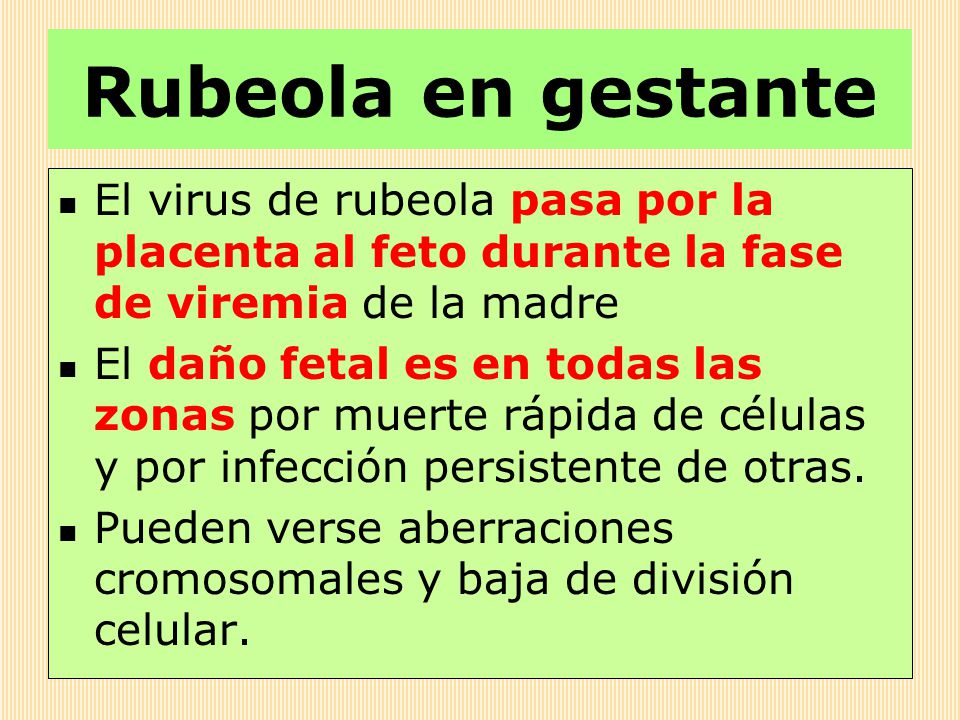 Rubeola en gestante El virus de rubeola pasa por la placenta al feto durante la fase de viremia de la madre.