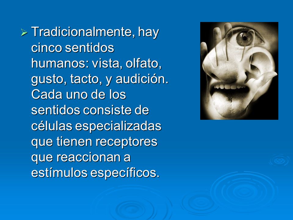 Tradicionalmente, hay cinco sentidos humanos: vista, olfato, gusto, tacto, y audición.