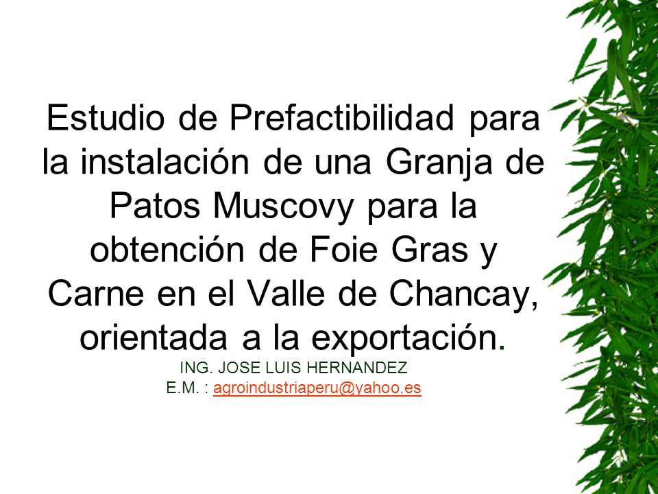Estudio de Prefactibilidad para la instalación de una Granja de Patos Muscovy para la obtención de Foie Gras y Carne en el Valle de Chancay, orientada a la exportación.