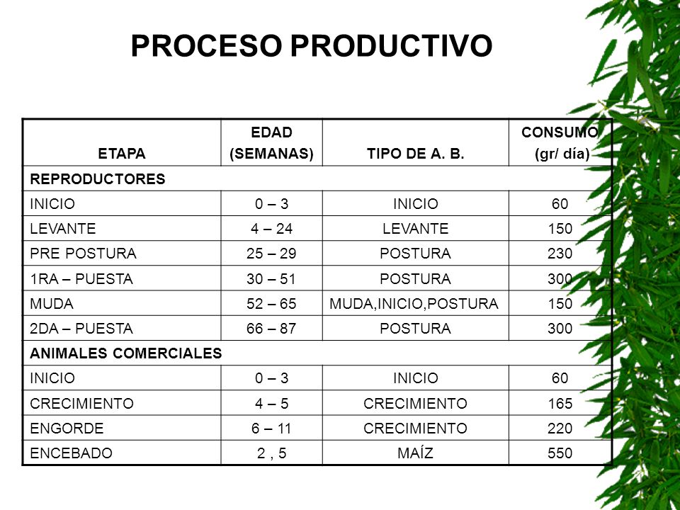 PROCESO PRODUCTIVO ETAPA EDAD (SEMANAS) TIPO DE A. B. CONSUMO