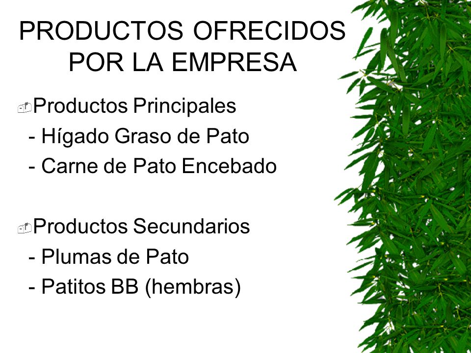 PRODUCTOS OFRECIDOS POR LA EMPRESA