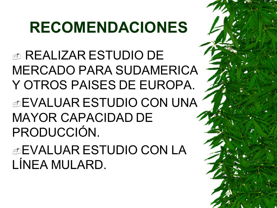 RECOMENDACIONES REALIZAR ESTUDIO DE MERCADO PARA SUDAMERICA Y OTROS PAISES DE EUROPA. EVALUAR ESTUDIO CON UNA MAYOR CAPACIDAD DE PRODUCCIÓN.