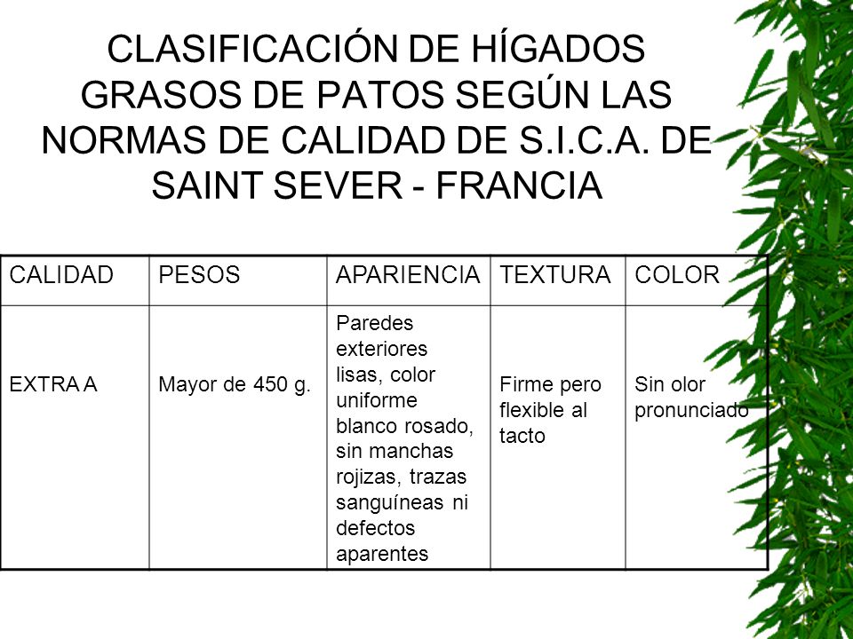 CLASIFICACIÓN DE HÍGADOS GRASOS DE PATOS SEGÚN LAS NORMAS DE CALIDAD DE S.I.C.A. DE SAINT SEVER - FRANCIA