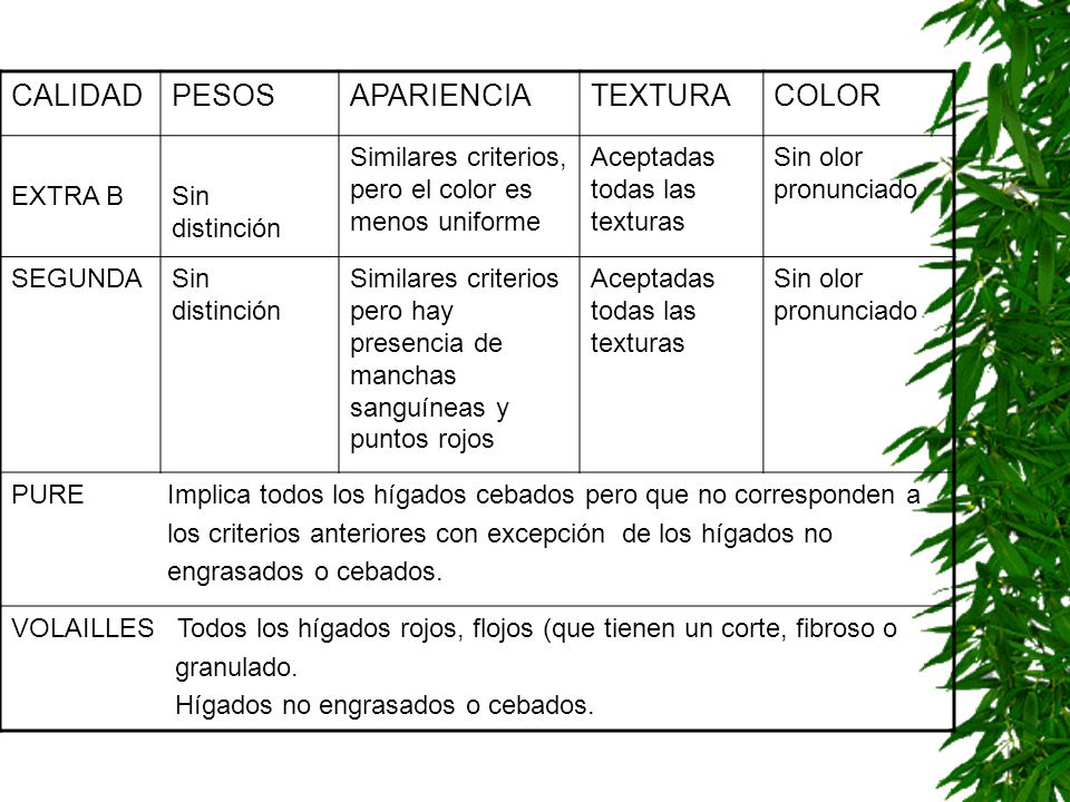 CALIDAD PESOS APARIENCIA TEXTURA COLOR EXTRA B Sin distinción