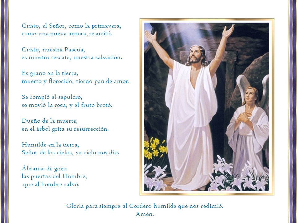 Gloria para siempre al Cordero humilde que nos redimió.