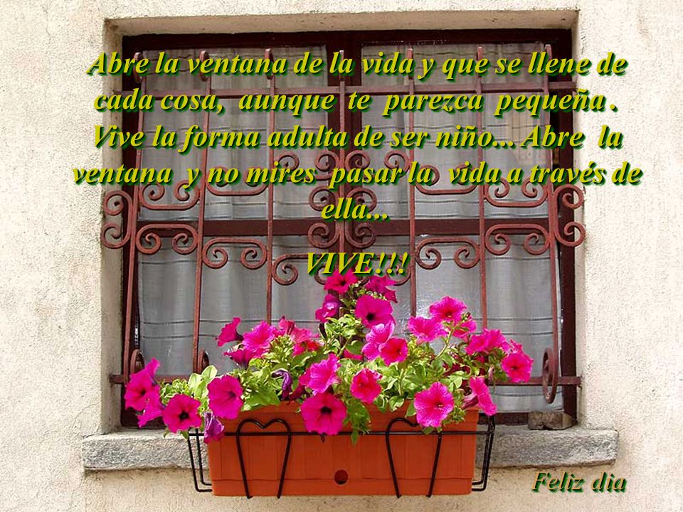 Abre la ventana de la vida y que se llene de cada cosa, aunque te parezca pequeña . Vive la forma adulta de ser niño... Abre la ventana y no mires pasar la vida a través de ella...