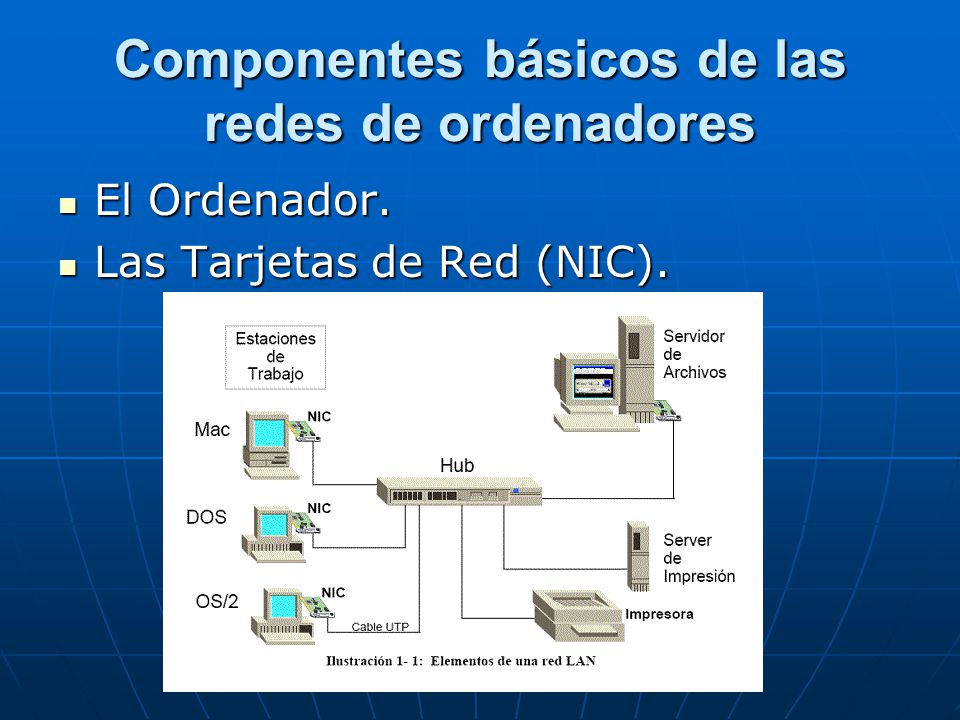 Componentes básicos de las redes de ordenadores