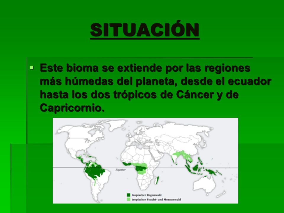 SITUACIÓN Este bioma se extiende por las regiones más húmedas del planeta, desde el ecuador hasta los dos trópicos de Cáncer y de Capricornio.