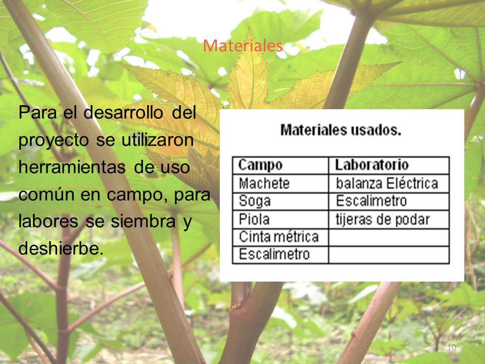 Materiales Para el desarrollo del proyecto se utilizaron herramientas de uso común en campo, para labores se siembra y deshierbe.