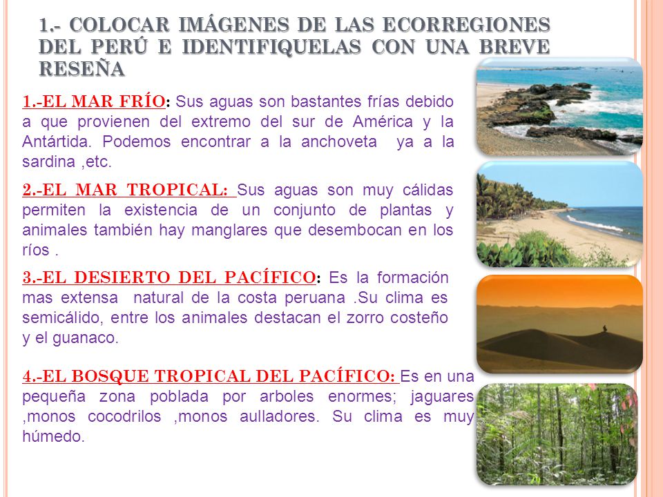 1.- COLOCAR IMÁGENES DE LAS ECORREGIONES DEL PERÚ E IDENTIFIQUELAS CON UNA BREVE RESEÑA