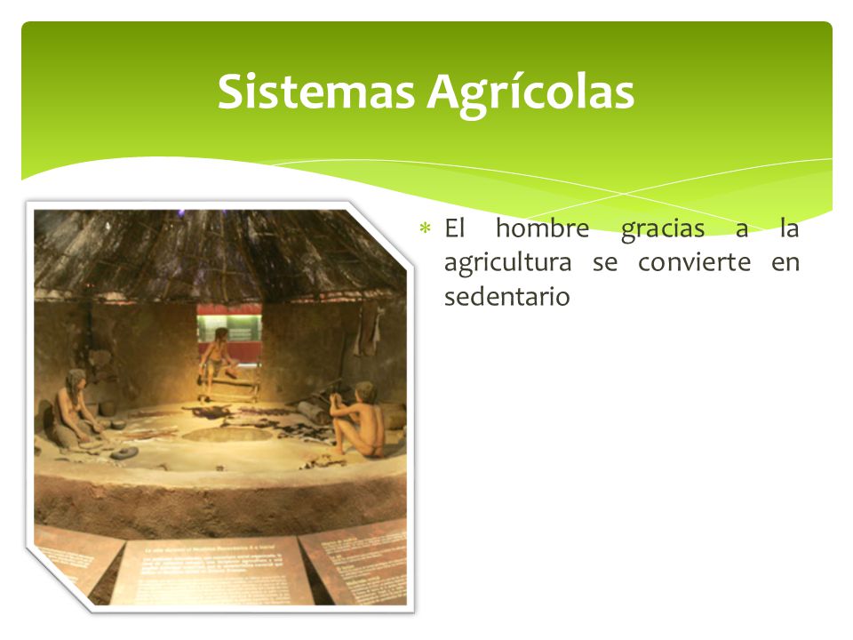 Sistemas Agrícolas El hombre gracias a la agricultura se convierte en sedentario