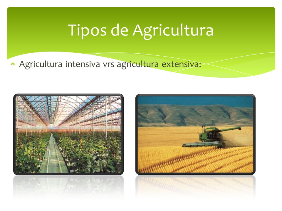 Tipos de Agricultura Agricultura intensiva vrs agricultura extensiva: