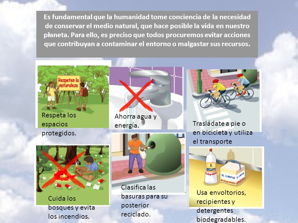 Es fundamental que la humanidad tome conciencia de la necesidad de conservar el medio natural, que hace posible la vida en nuestro planeta. Para ello, es preciso que todos procuremos evitar acciones que contribuyan a contaminar el entorno o malgastar sus recursos.