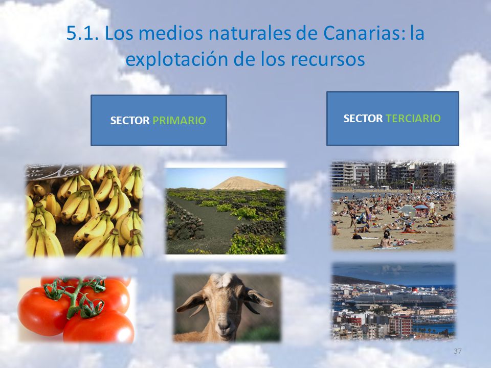 5.1. Los medios naturales de Canarias: la explotación de los recursos