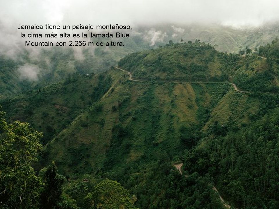 Jamaica tiene un paisaje montañoso, la cima más alta es la llamada Blue Mountain con m de altura.