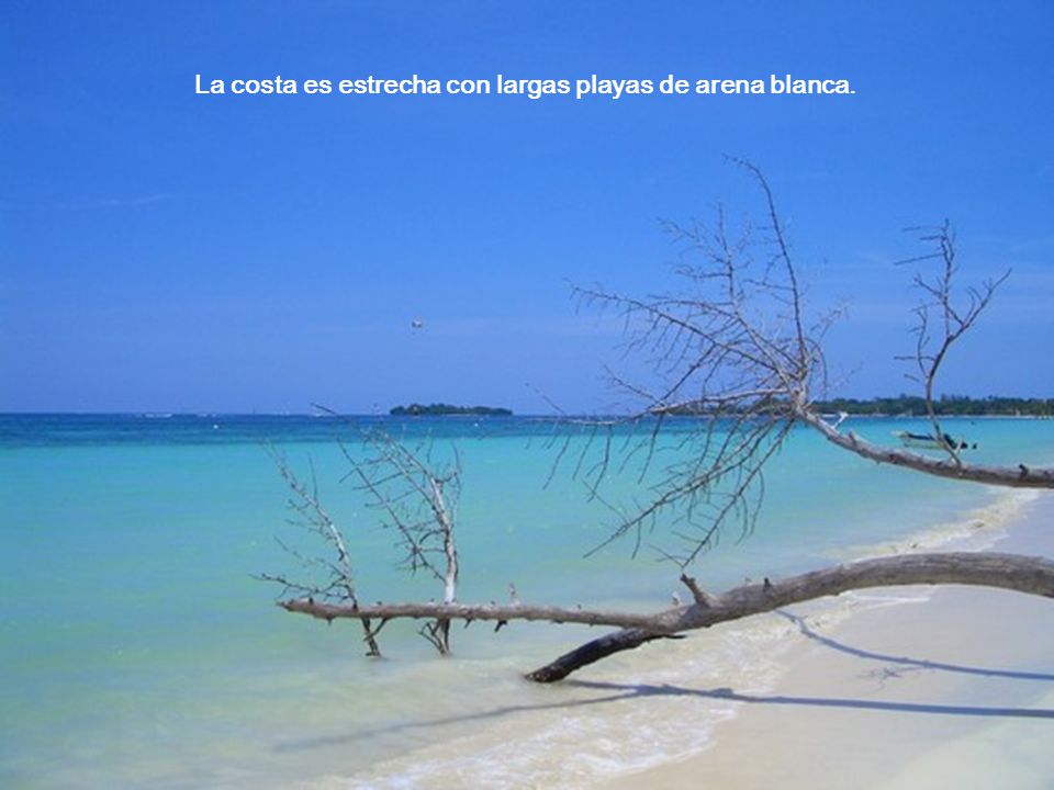 La costa es estrecha con largas playas de arena blanca.