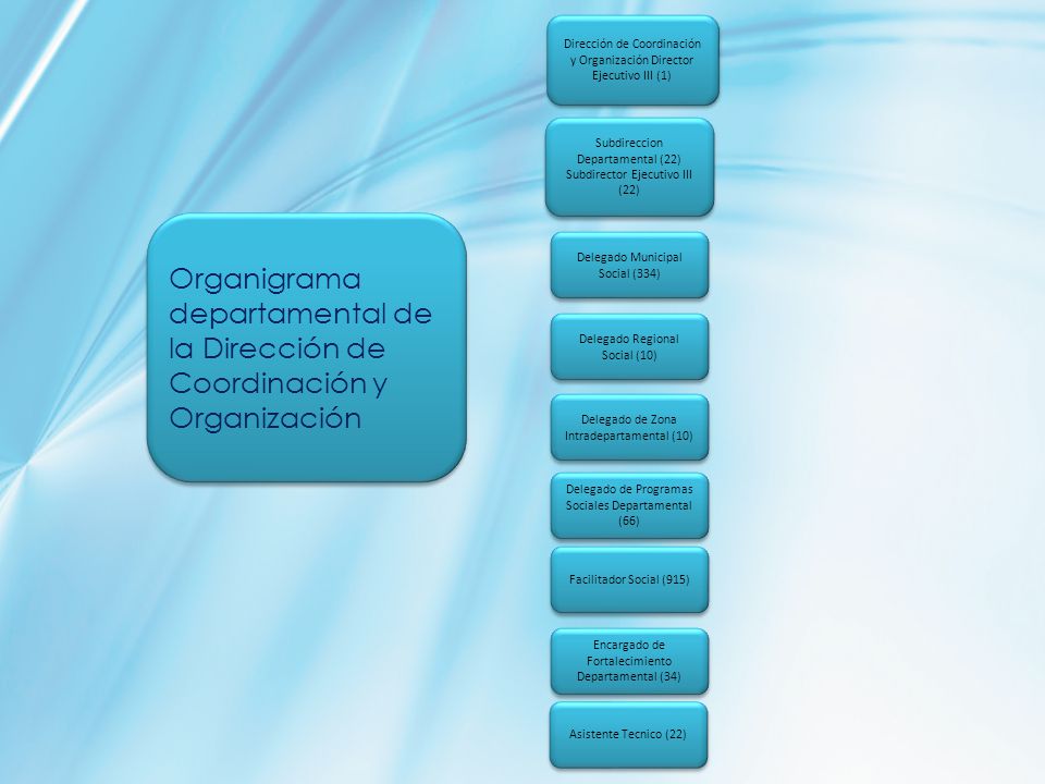 Dirección de Coordinación y Organización Director Ejecutivo III (1)