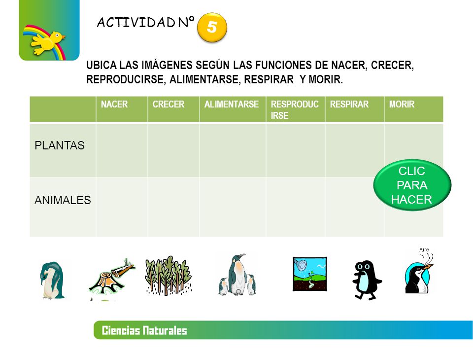 ACTIVIDAD Nº 5. UBICA LAS IMÁGENES SEGÚN LAS FUNCIONES DE NACER, CRECER, REPRODUCIRSE, ALIMENTARSE, RESPIRAR Y MORIR.