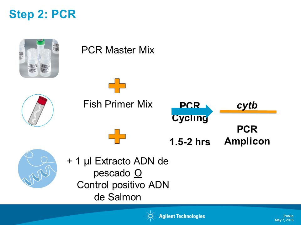 + 1 µl Extracto ADN de pescado O Control positivo ADN de Salmon