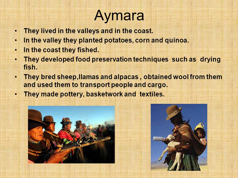 Aymara They lived in the valleys and in the coast.