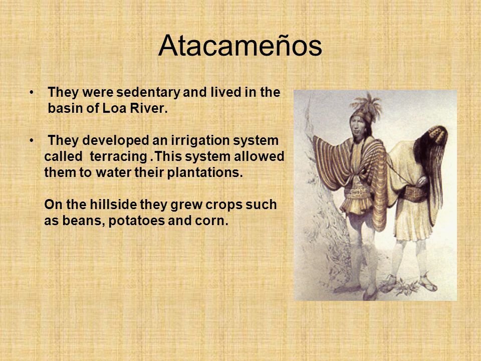Atacameños They were sedentary and lived in the basin of Loa River.