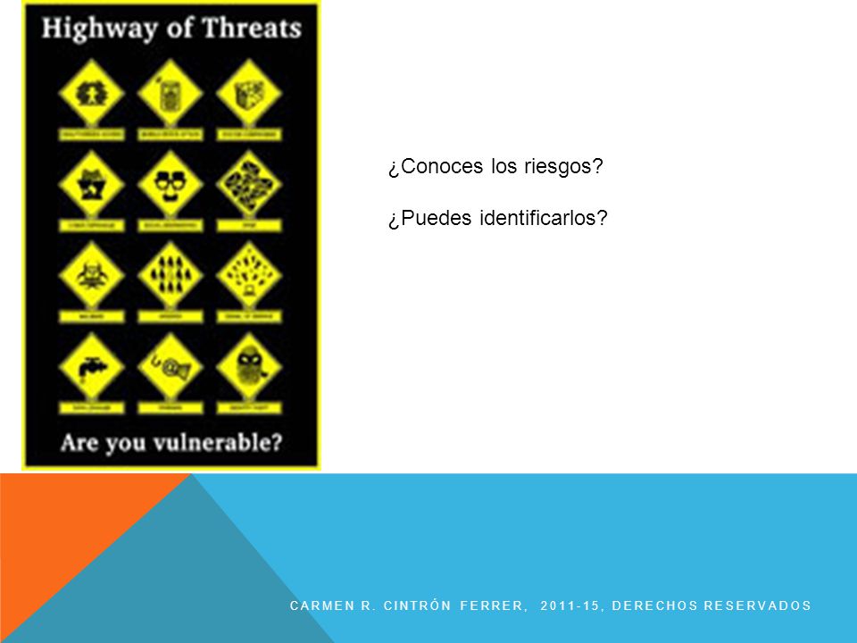 ¿Puedes identificarlos